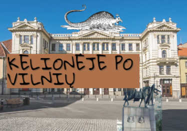 7-daliu-vilnius_57_01719124468-cc8d80f4dab4f319a1a9c68df1b6673a.PNG