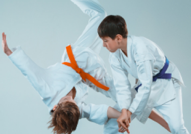 fizinis-ugdymas-su-aikido_57_01741785866-b8a92e2117bfead888b0cc30ad5bfba6.png